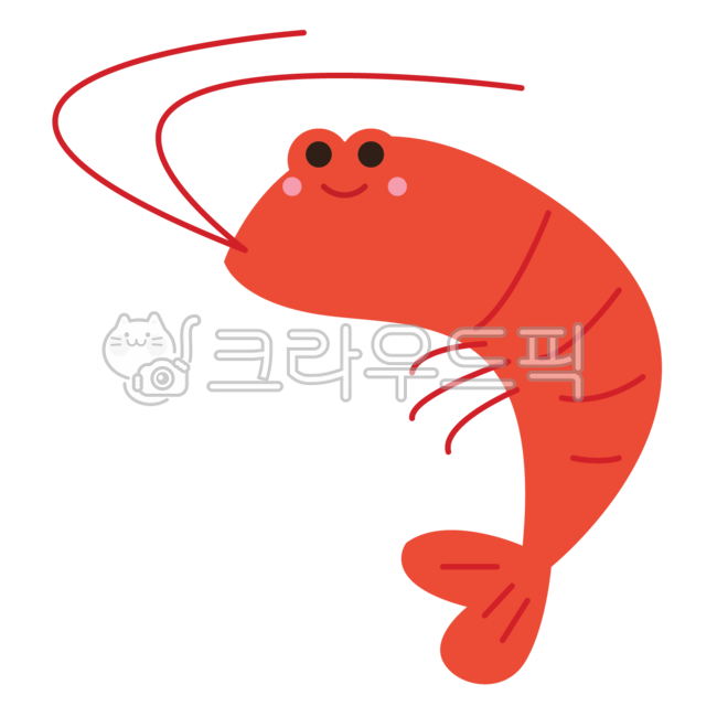 해양생물,바다,해물,해양,바다생물,sealife,fish,food,음식,invertebrate,무척추동물,새우,seafood,shrimp