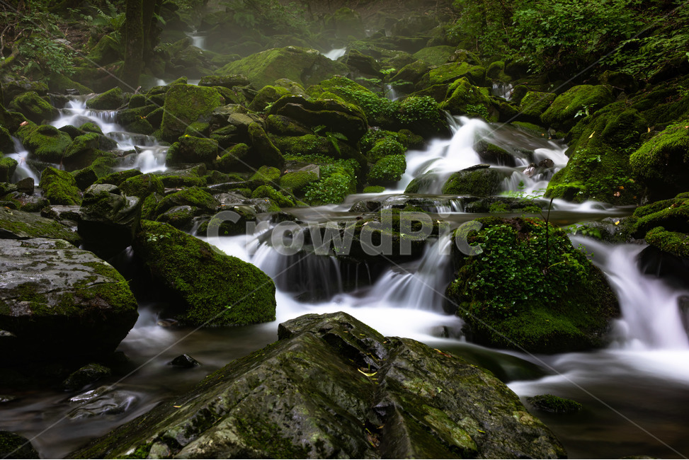 물,자연,이끼,폭포,계곡,여름,계절,summer,season,자연,풍경,nature,landscape,한국자연풍경,한국자연경관,korea nature landscape,water,river,강,outdoors,옥외