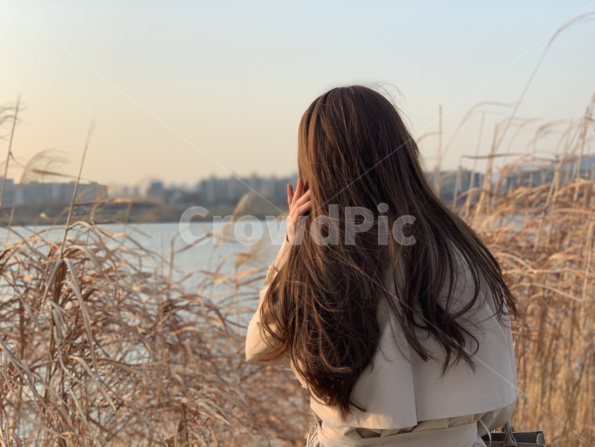 가을,힐링,한강,노을,갈대,가을,계절,fall,autumn,season,사람,인물,인간,human,person,여성,여자,woman,female,lady,고독함,외로움,쓸쓸함,우울함,슬픔,lonely,solitary