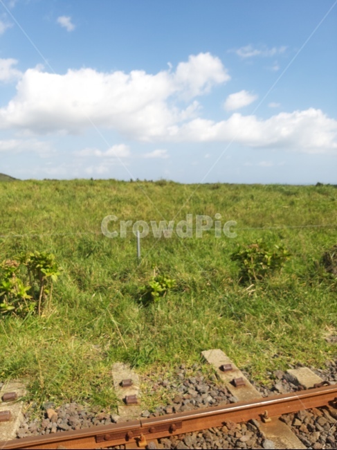자연,들,grassland,nature,목초지,자연,풍경,nature,landscape,outdoors,옥외,field