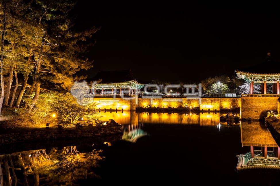 night view,Architecture,reflection,Anapji Pond,building,Gyeongju