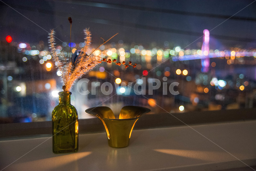 부산,야경,풍경,자연,감성,카페,영도,야경,밤,풍경,nightscape,night,landscape,실내용화초,화분,화초,house plant