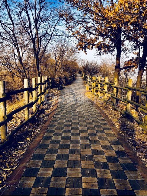 하늘공원,서울,하늘,야외,해질녘,산책,sky,park,sunset,가을,계절,fall,autumn,season,자연,풍경,nature,landscape,path,통로,walkway,보도,railing,난간,handrail,banister
