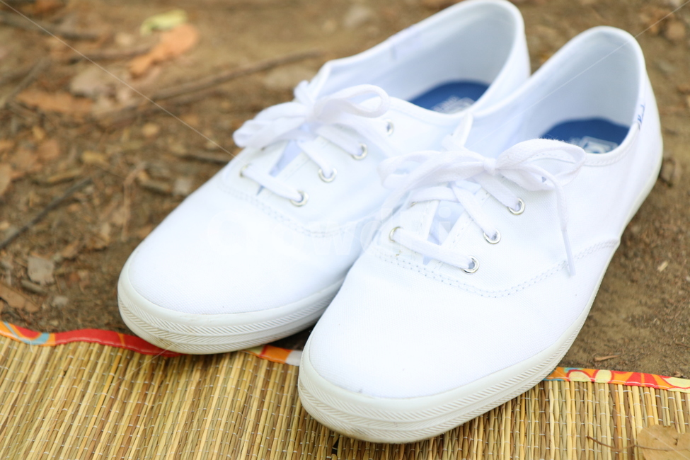 신발,돗자리,흰색,소풍,신발끈,신발류,shoe,footwear
