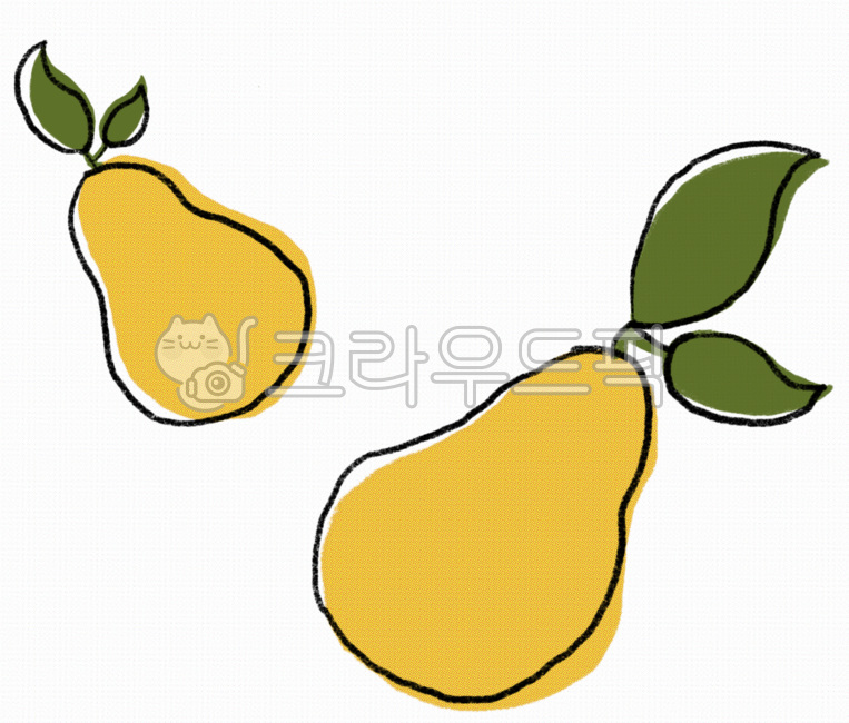 Western pear,pear,fruit,fruit illustration,pear illustration,illustration