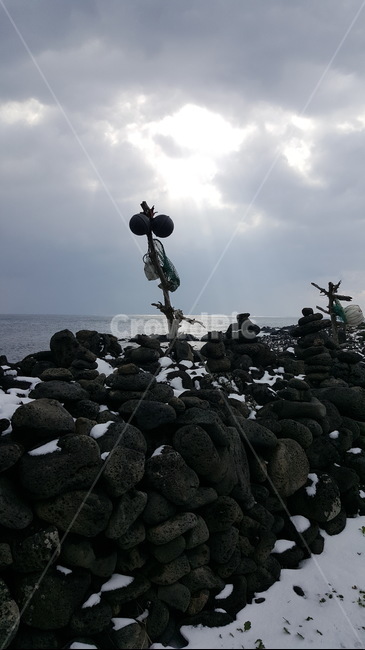 자연,제주도,풍경,겨울,눈내린제주도,바탕화면