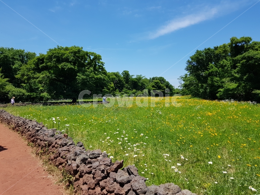 제주도,하늘,풍경,자연,봄,자연,풍경,nature,landscape,grassland,목초지,field,들,outdoors,옥외