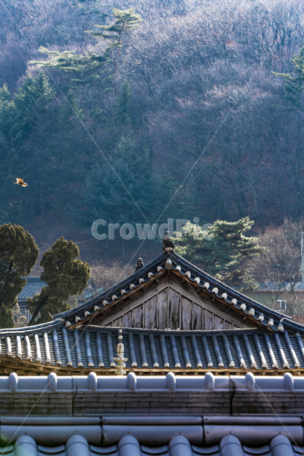 보광사,산사,사찰,문화유산,고찰,기와,기와자붕,전통건축물,전통가옥,건축물,한국전통,한국문화,korean traditional,korean culture,건축물,건물외관,exterior,building,structure,architecture,construction