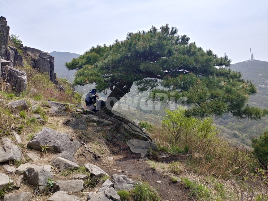 나무,무등산,산,풍경,등산,자연,풍경,nature,landscape,ground,바닥,road,도로,gravel,자갈,dirt road,흙길,rubble,파편