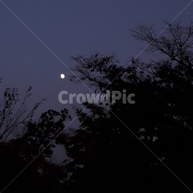 밤하늘,하늘,달,감성,밤,야경,밤,풍경,nightscape,night,landscape,nature,자연,outdoors,옥외