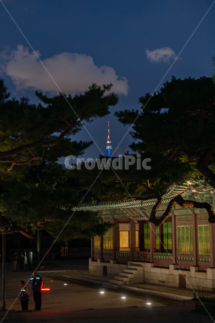 창경궁,야경,고궁,전통,palace,야경,밤,풍경,nightscape,night,landscape,한국전통,한국문화,korean traditional,korean culture,건축물,건물외관,exterior,building,structure,architecture,construction
