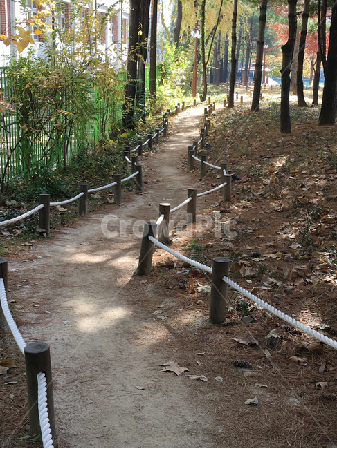 보도,walkway,sidewalk,풍경,scenery,입구,entrance,나무,tree,나무줄기,treetrunk,낙엽,deciduous,잎,leaf,life,생활,park,공원,바닥,땅,ground,floor,flooring,식물,plant,통로,path,길,road