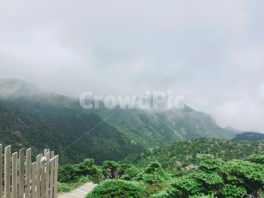 한라산,등산,산,운동,산책,안개