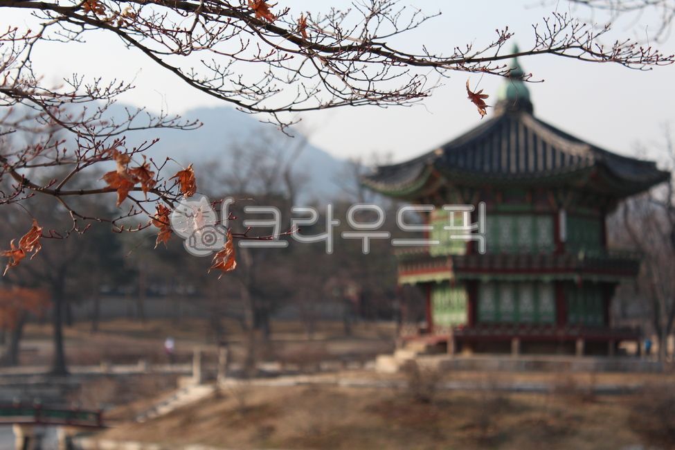 건축물,경복궁,향원정,서울,서울시,문화유산,문화제,경복궁향원정,한국문화,궁,궁궐,관광지