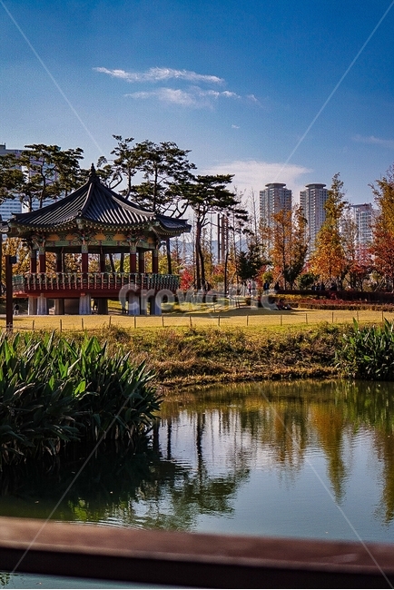 시민공원,공원,나무,호수,단풍,물,마루,floor,park,tree,maple,lake,한국전통,한국문화,korean traditional,korean culture,건축물,건물외관,exterior,building,structure,architecture,construction