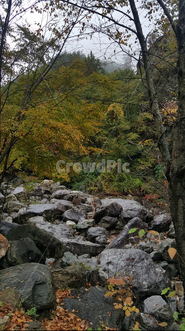 산,등산,mountain,autumn,가을,산길,바위,단풍