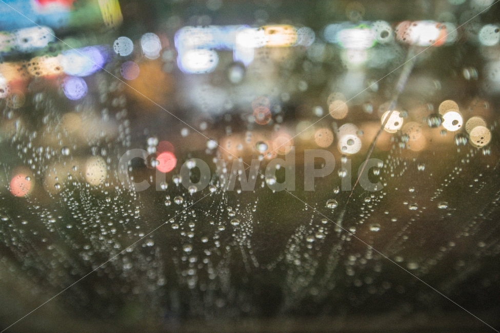 청주,일상,감성,비,소나기,비,비오는날,rain,rainy,감성,sensible,feeling