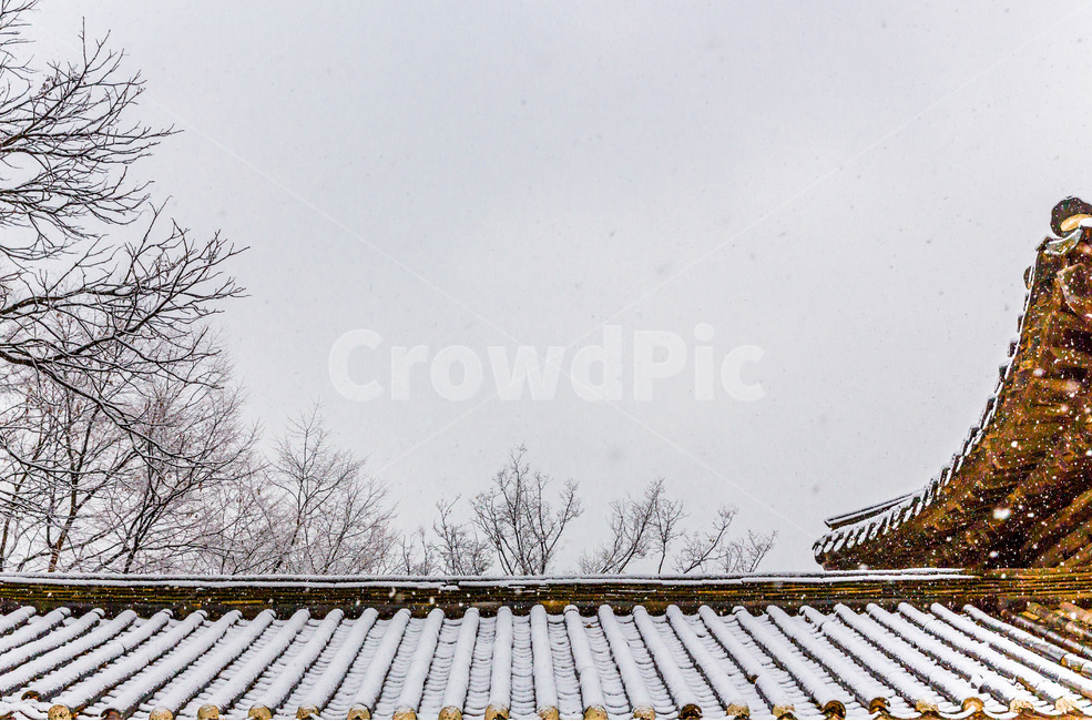 설경,기와,선,풍경,전통,겨울,계절,winter,season,한국전통,한국문화,korean traditional,korean culture,건축물,건물외관,exterior,building,structure,architecture,construction