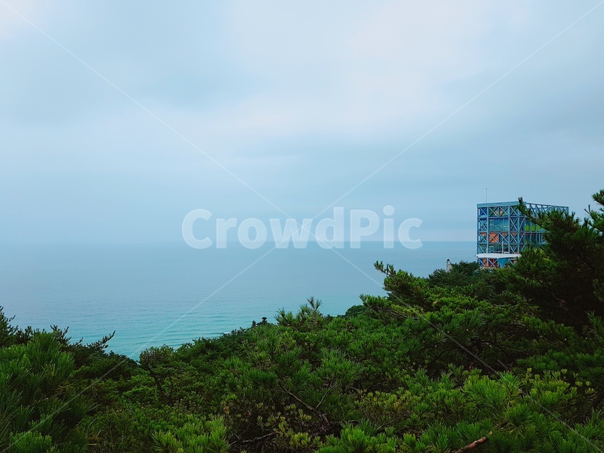 하늘,바다,숲,나무,풍경,자연,풍경,nature,landscape,architecture,건축물,building,건물,temple,신전