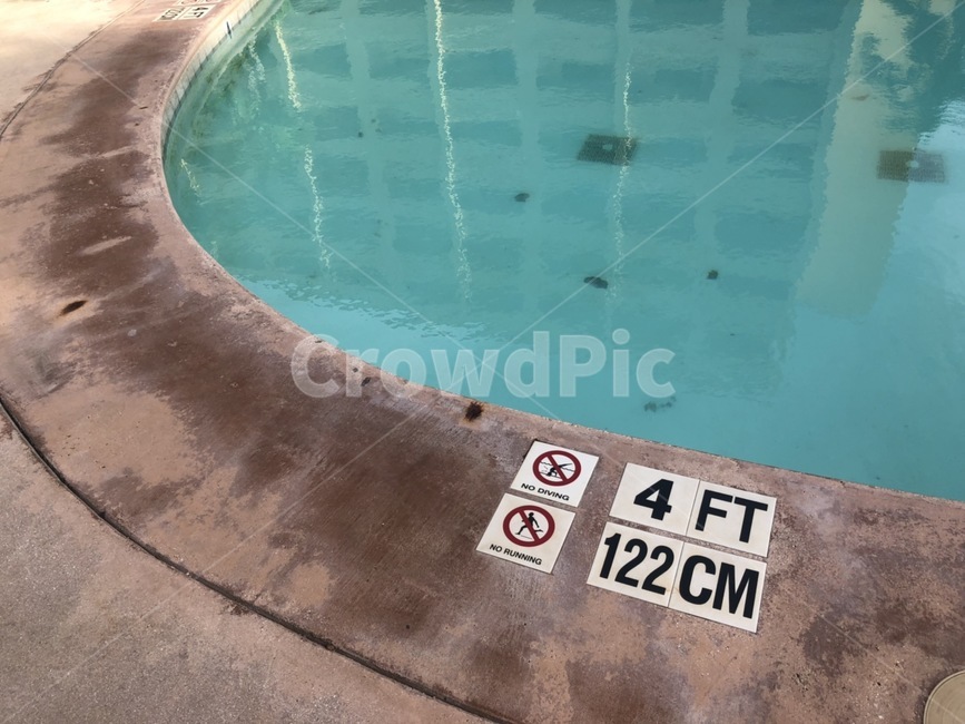 pool,swim,물,여름,수영장,summer,water