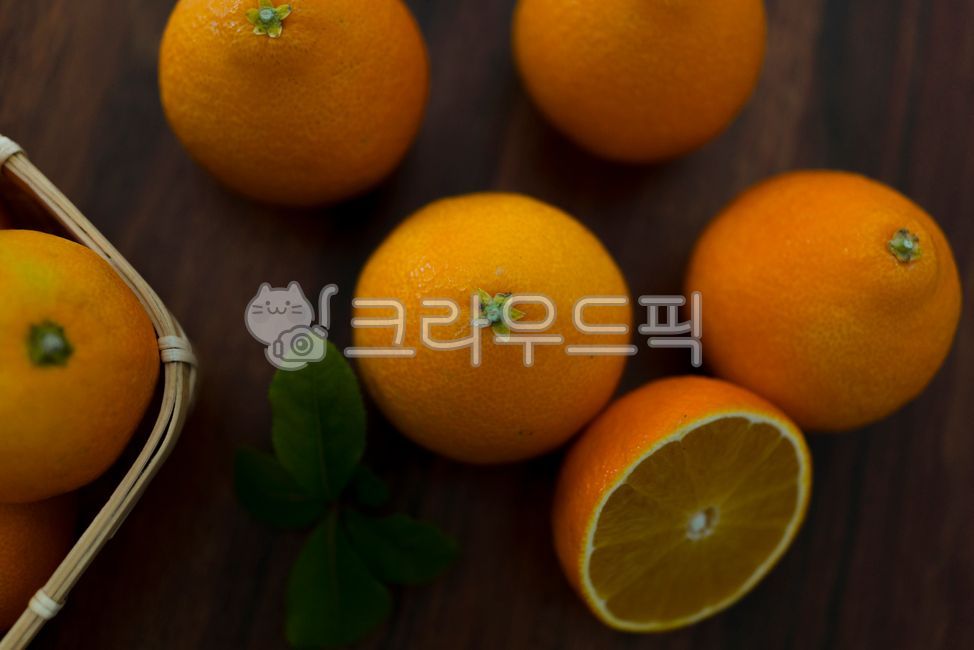 citrusfruit, 감귤류과일, 과일, fruit, orange, 사진,이미지,일러스트,캘리그라피 - gotolondon작가