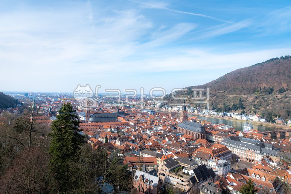 유럽,europe,독일,germany,하이델베르그,heidelberg,중세도시,medievalcity,도시풍경,cityscape,빌딩,building,건축물,architecture,강,river,자연경관,naturallandscape,집,houses,교육도시,educationcity,roof,지붕,nature,자연,outdoors,옥외