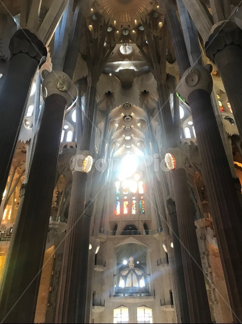 architecture,spain,barcelona,gaudi,유럽,스페인,바르셀로나,가우디,성당,사그라다파밀리아,sagrada,sagradafamilia,성가족성당,건축,디자인,햇빛,스테인드글라스,stainedglass,랜드마크,landmark,tourist attraction,해외,외국,세계,foreign,oversea,world,세계랜드마크,해외랜드마크,외국랜드마크,world landmark,world tourist attraction,종교,신앙,religion,belief,faith,건축물,건물외관,exterior,building,structure,architecture,construction,건물,apse,후진
