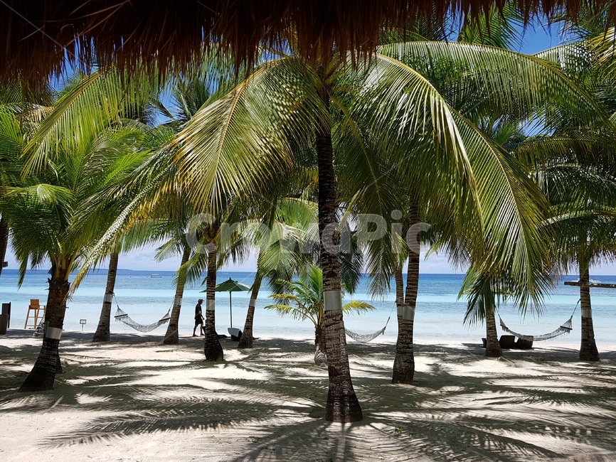 필리핀,비치숙소,휴양지,해변가,beach,해먹,보홀,bohol,해변,바다,beach,sea