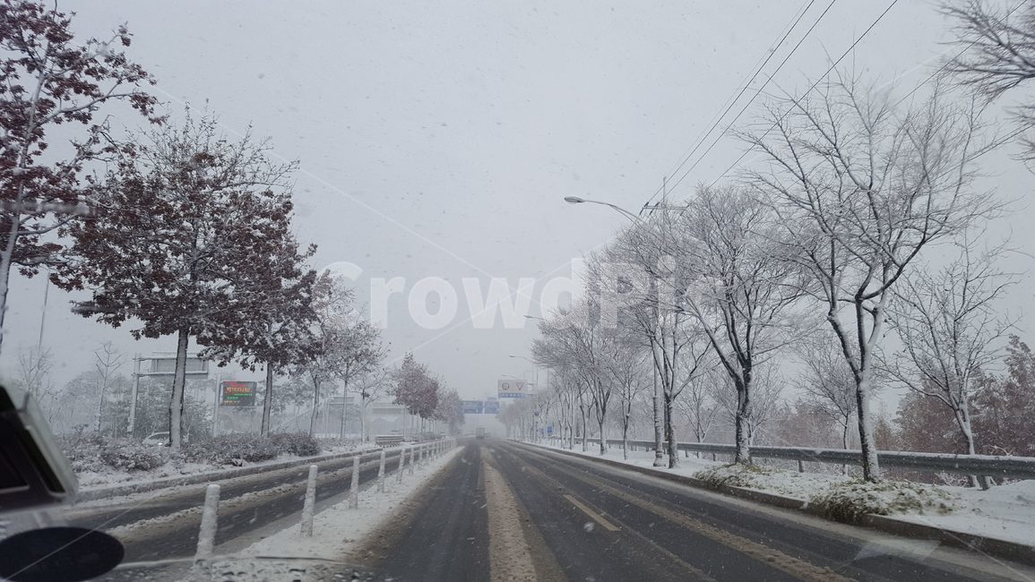 nature,자연,outdoors,옥외,눈길,눈오는길,snow,겨울,계절,winter,season