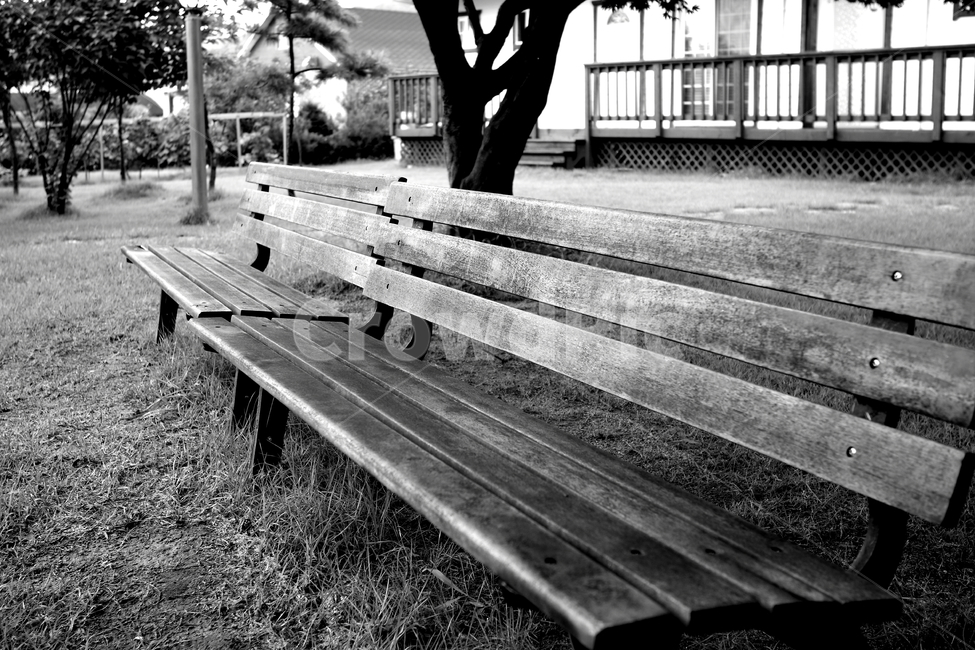 의자,공원,산책,휴식,흑백,자연,풍경,nature,landscape,흑백,모노톤,monochrome,black and white,bench,벤치