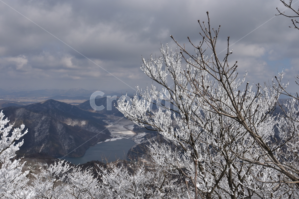 눈꽃,겨울,설경,산,나무,눈꽃나무,겨울산,자연,nature,outdoors,산정상,겨울,계절,winter,season,자연,풍경,nature,landscape,옥외