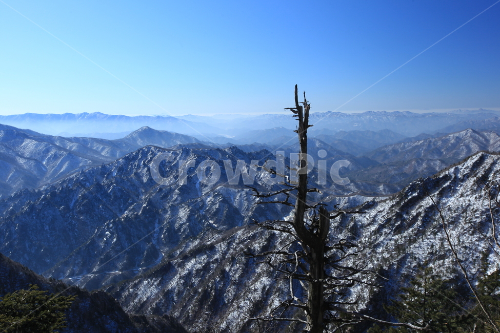 설악산,겨울산행,파란하늘,대청봉,능선,겨울나무,설원,등산,겨울,계절,winter,season,자연,풍경,nature,landscape,mountain range,산맥,outdoors,옥외,mountain,산,tree,나무,plant,식물