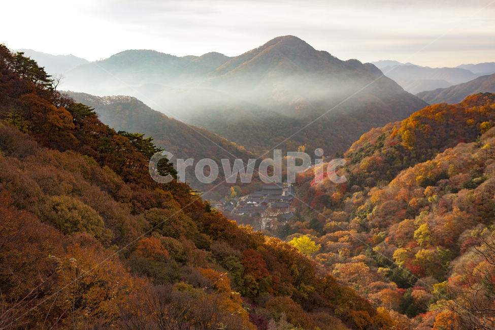백암산,백양사,장성군,가을,단풍,비경,산사,산행,자연경관,명소,사찰,가을,계절,fall,autumn,season,자연,풍경,nature,landscape,한국자연풍경,한국자연경관,korea nature landscape,outdoors,옥외,mountain,산,mountain range,산맥