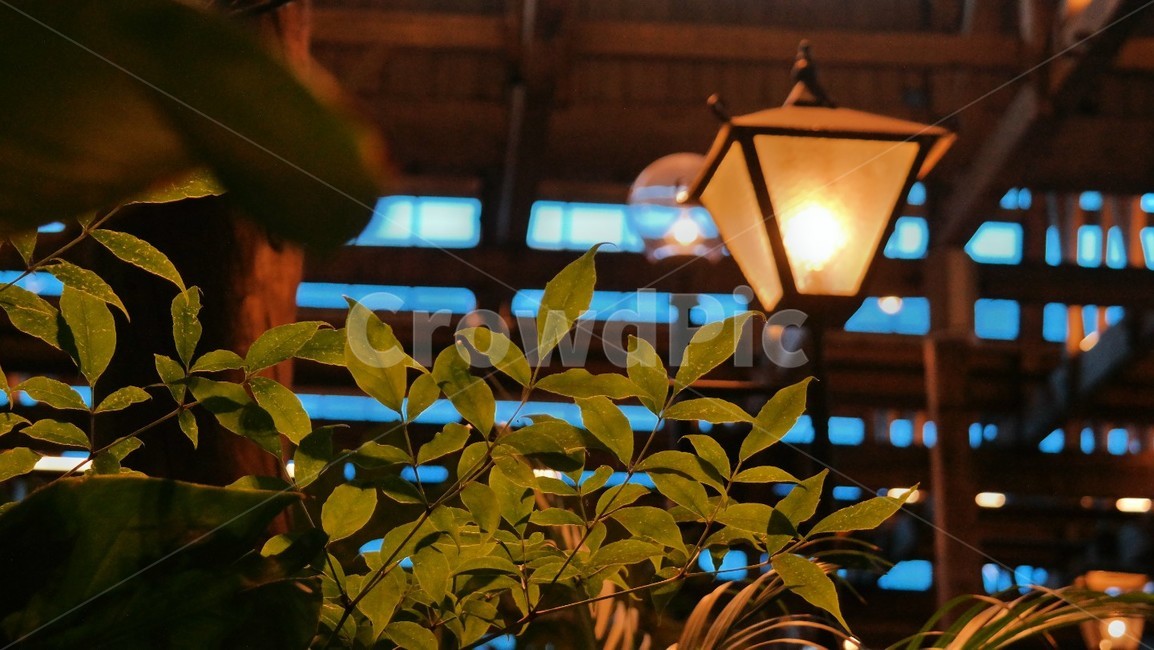 조명,가을,카페,가로등,실내,인테리어,실내디자인,interior design