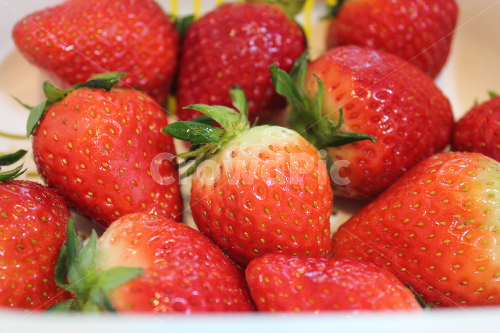 fruit,과일,딸기,strawberry,food,음식,음식,식재료,요리,food,cook,meal,dishes,food reserves,과일,열매,fruit