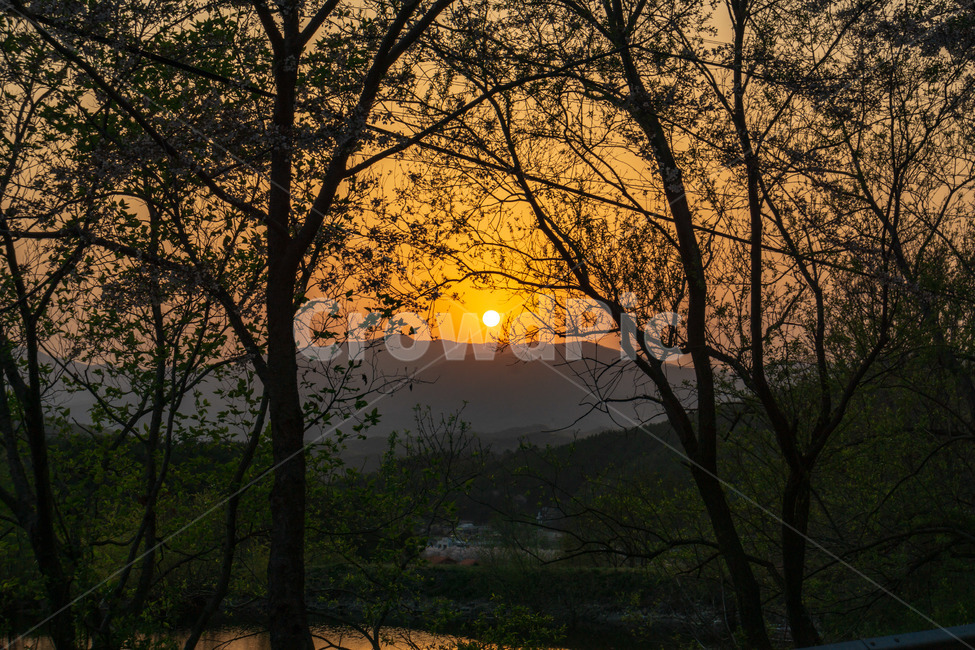 노을,풍경,저녁,태양,감성,따뜻함,나무,호수,배경,자연,풍경,nature,landscape,outdoors,옥외,sky,하늘,dusk,황혼,sunset,일몰,dawn,새벽,red sky,붉은 하늘,sunlight,햇빛