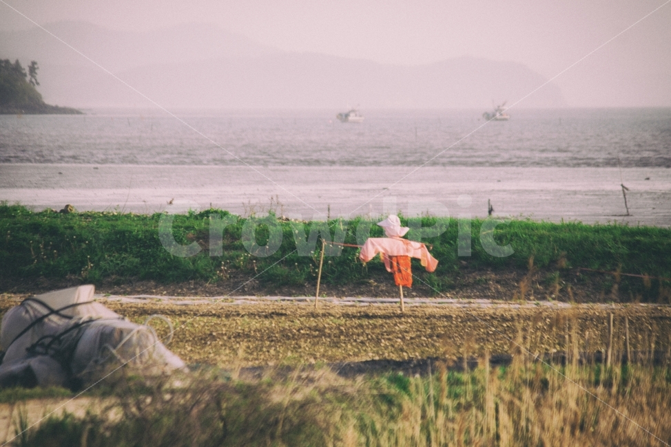시골,바다,허수아비,논,밭,풍경,자연,풍경사진,sea,country,landscape,nature,scarecrow,자연,풍경,nature,landscape,감성,sensible,feeling,시골,마을,country,rural,town