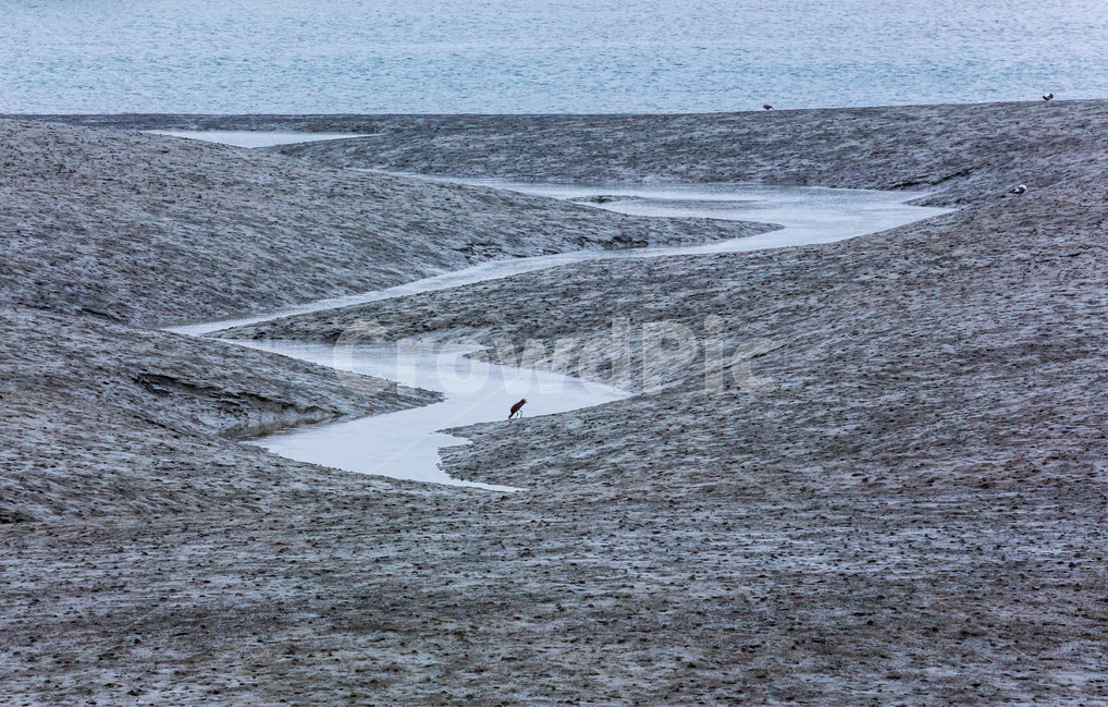 영종도,갯벌,석양,풍경,환경,바닷가,자연,풍경,nature,landscape,한국자연풍경,한국자연경관,korea nature landscape