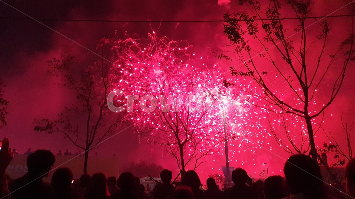 nature,outdoors,night,fireworks,축제,불꽃,옥외,나무,자연,여의도,군중,사람,festival,nightlife,나이트라이프,축제,행사,festival,carnival,event