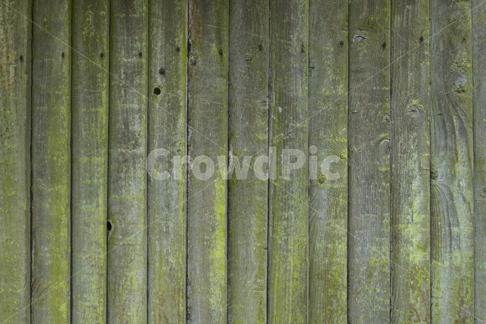 wooden floor,texture,tree,pattern,background image,wood pattern,tree background,background,wooden wall,wall,design source
