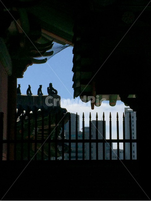 경희궁,잡상,기와,하늘,빌딩,gyeonghuigungpalace,rooftile,sky,building,공존,coexistence,장식기와,역광,backlight,한국전통,한국문화,korean traditional,korean culture,건축물,건물외관,exterior,building,structure,architecture,construction