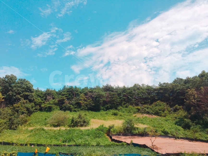풍경,하늘,구름,나무,잔디,시골,자연,자연,풍경,nature,landscape,시골,마을,country,rural,town