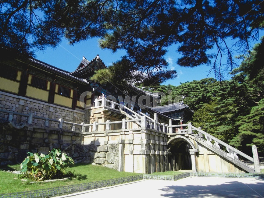 경주,불국사,절,건물,불교,한국전통,한국문화,korean traditional,korean culture,랜드마크,landmark,tourist attraction,한국랜드마크,한국관광지,한국명소,korea landmark,korea tourist attraction,종교,신앙,religion,belief,faith,건축물,건물외관,exterior,building,structure,architecture,construction