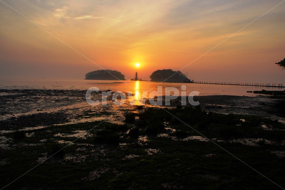 안면도,일출,안면암,서해안,바다,자연,풍경,nature,landscape,outdoors,옥외,sunlight,햇빛