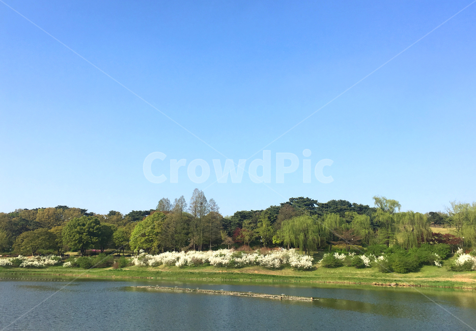 공원,호수,자연,풍경,휴식,물,water,nature,lake,야외