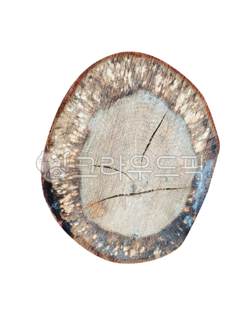 화난,표정,화가난,찡그린,닮은꼴,나무,나이테,밑둥,장작,땔감,참나무,벌목,참나무시들음병,logging,oak,tree,firewood,firework,rim,모양,similar,form,look,angry,frown