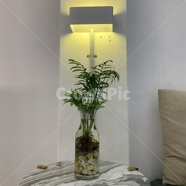 homedecor,가정장식,식물,집,집인테리어,인테리어,인테리어소품,조명,화분,대리석,plant,house,interior,lights