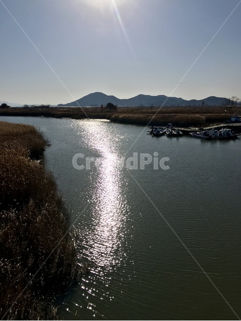 갈대,순천만,바다,자연,갯골,자연,풍경,nature,landscape
