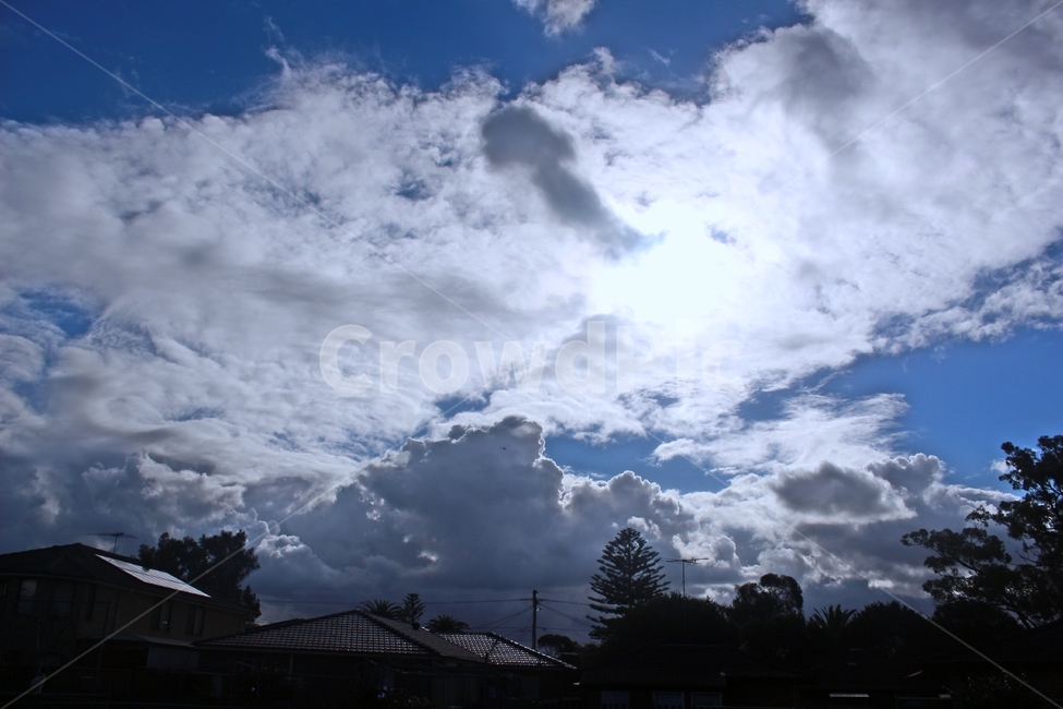 시드니,날씨좋은날,파란하늘,bluesky,시드니풍경,자연,풍경,nature,landscape,weather,날씨,cloud,구름,sky,하늘,cumulus,적운,outdoors,옥외