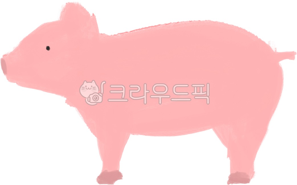 돼지,아기돼지,동물,새끼돼지,돼지그림,돼지옆모습,돼지꼬리,저금통,돼지띠,돼지꿈,돼지캐릭터,돼지일러스트,미니피그,pig,동물농장,가축,포유류,돼지코,꿀꿀,꿀돼지,집돼지